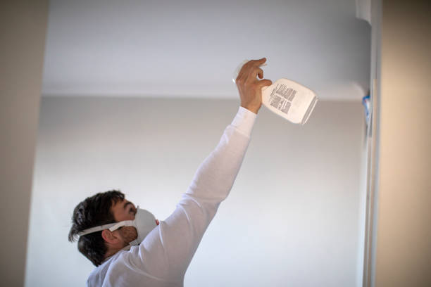 Best Local Mold Removal Service  in Laton, CA