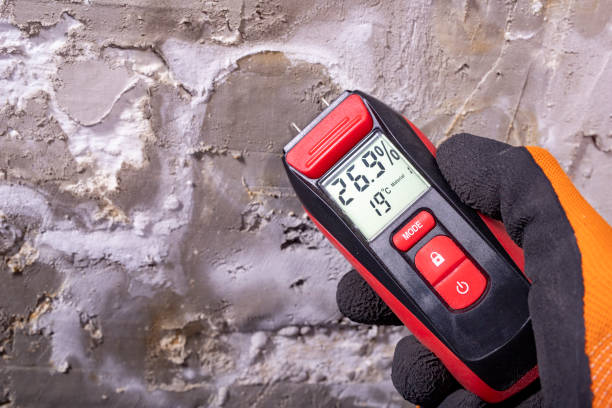 Best Mold Damage Repair  in Laton, CA