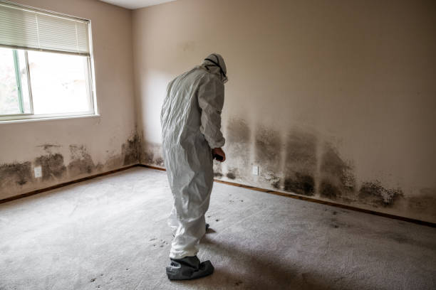 Best Mold Removal Process  in Laton, CA