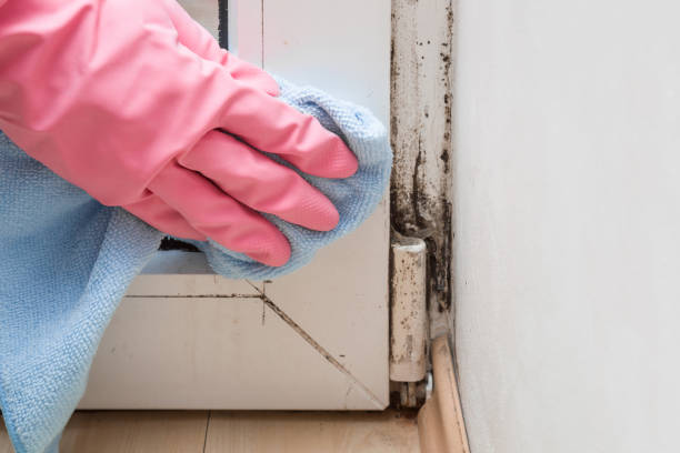 Best Crawl Space Mold Removal  in Laton, CA